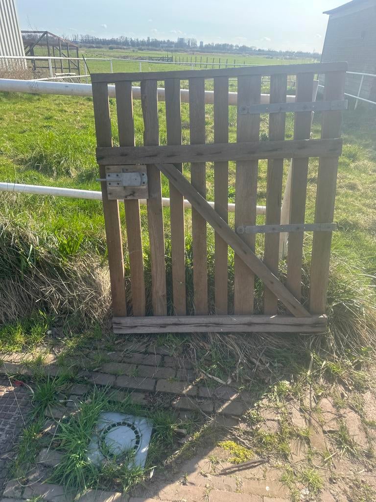 Douglas weidehek, weidepoort, Weidegang, 4 paarden of pony's of meer