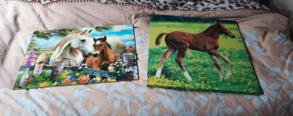 Wanddecoratie paard (canvas en 3d puzzel op plaat), Ophalen