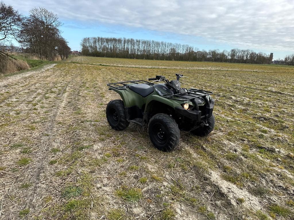 Yamaha Kodiak 450cc, Motoren, 450 cc, 1 cilinder, 12 t/m 35 kW