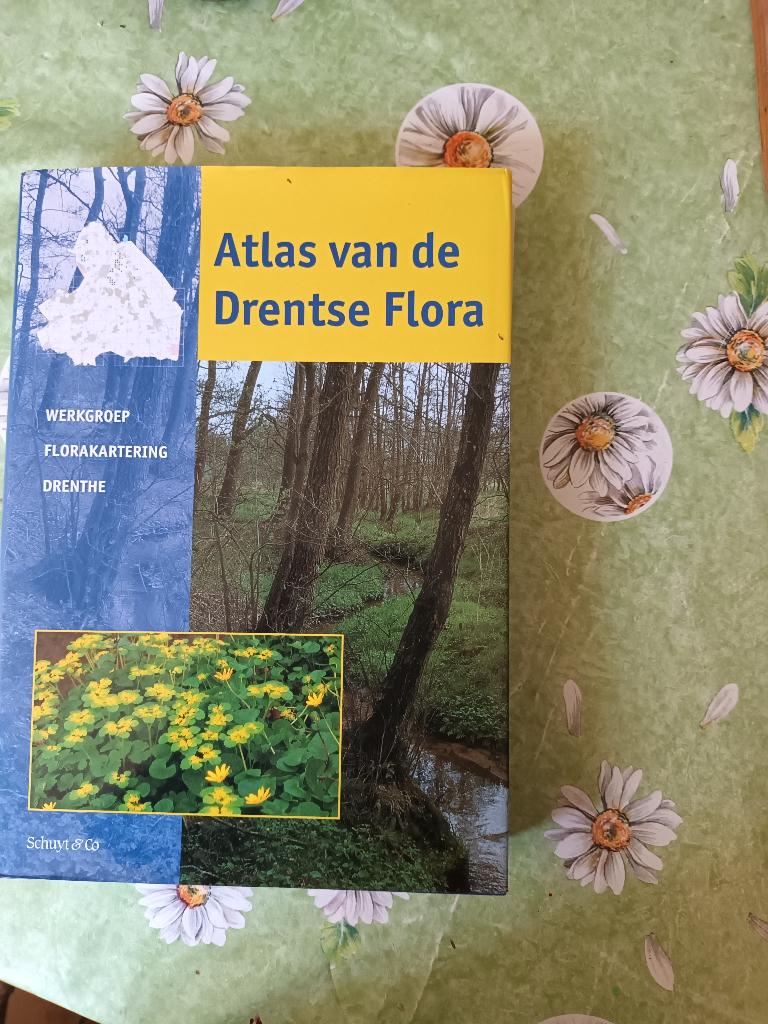 Atlas van Drenthse Flora. Drenthe Bloemen planten vegetatie, Bloemen, Planten en Bomen, Ophalen of Verzenden, Zo goed als nieuw
