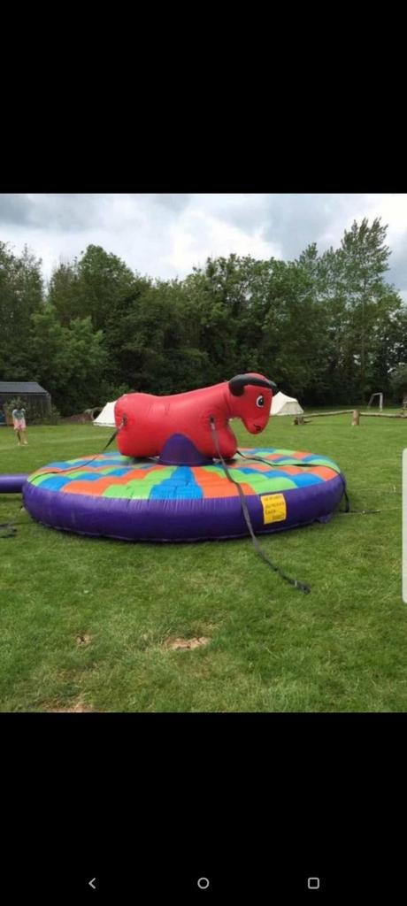 Opblaasbare Rodeo Stier - Plezier voor Jong en Oud!, Ophalen