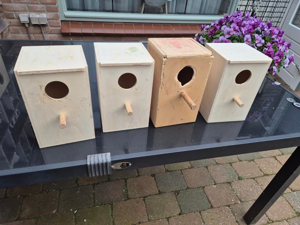 4 broedhokken grasparkieten, Ophalen, Hout, Vogelkooi