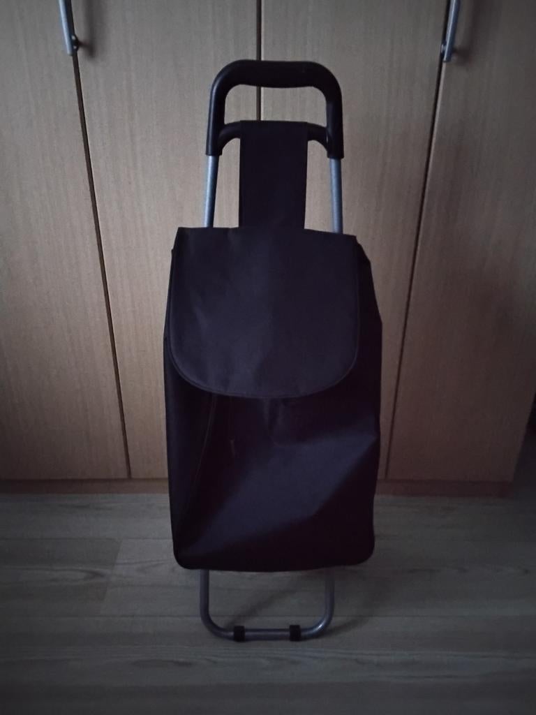 Boodschappenwagen, Sieraden, Tassen en Uiterlijk, Ophalen of Verzenden, Nieuw, 30 cm of meer