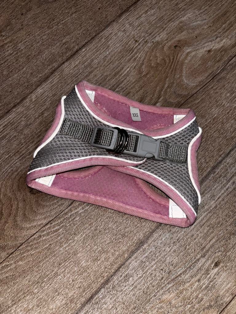 Tuigje kleine hond, Ophalen, Zo goed als nieuw
