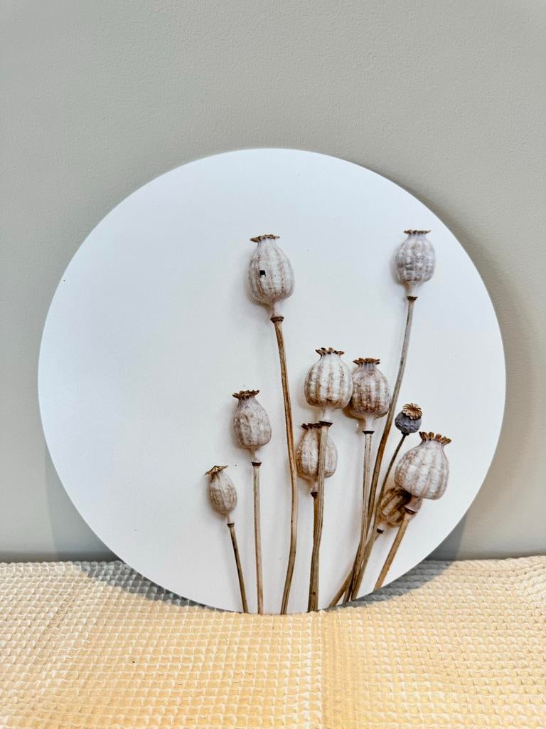 Muurcirkel met papaverbollen, Nieuw, Ophalen of Verzenden, Kunststof, Wandcirkel