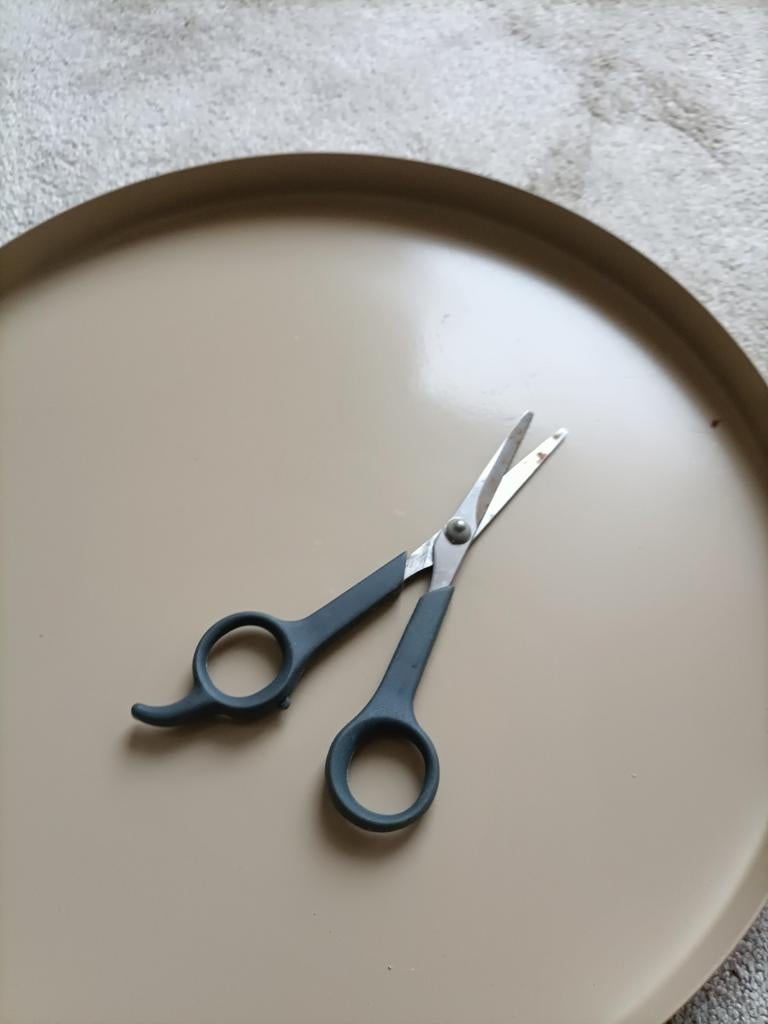 Schaar - Staal - Zwart, Ophalen of Verzenden, Gebruikt, Zwart, Staal