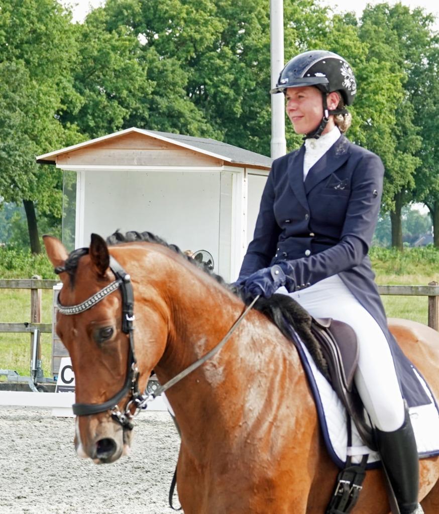 Ervaren instructeur aangeboden les dressuurles, Diensten en Vakmensen, Dieren | Paarden | Verzorging, Oppas en Les