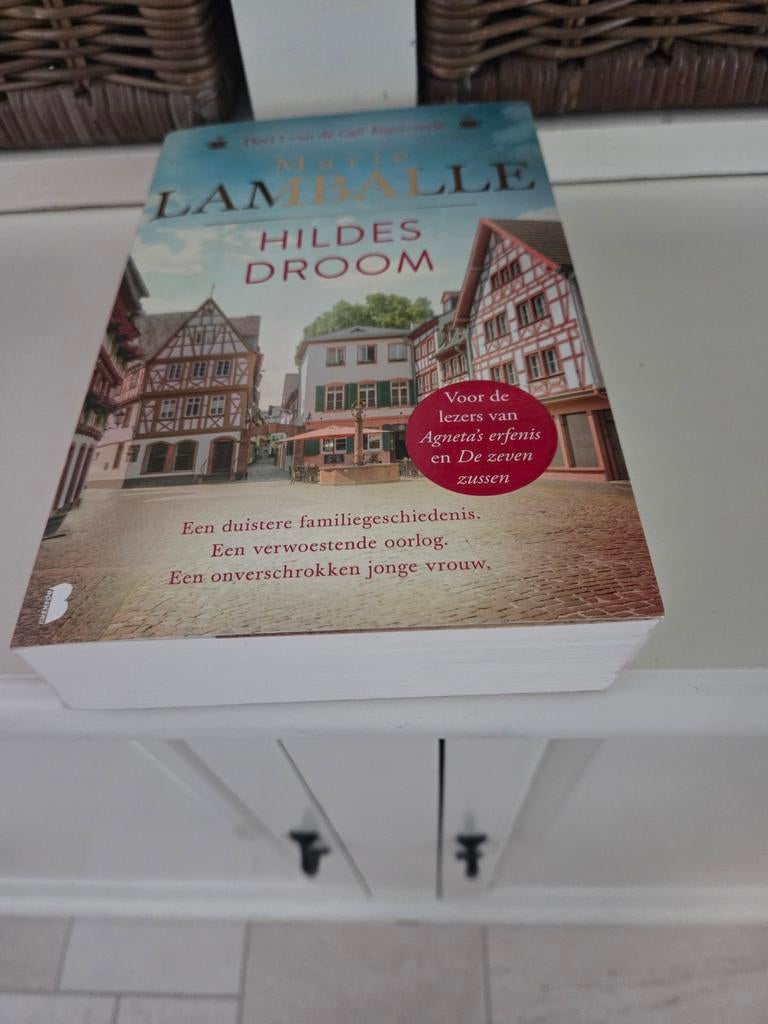 Marie Lamballe - Hildes droom, Ophalen of Verzenden, Gelezen