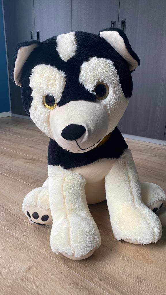 Grote walibi hond, Kinderen en Baby's, Speelgoed | Knuffels en Pluche, Ophalen, Zo goed als nieuw, Hond