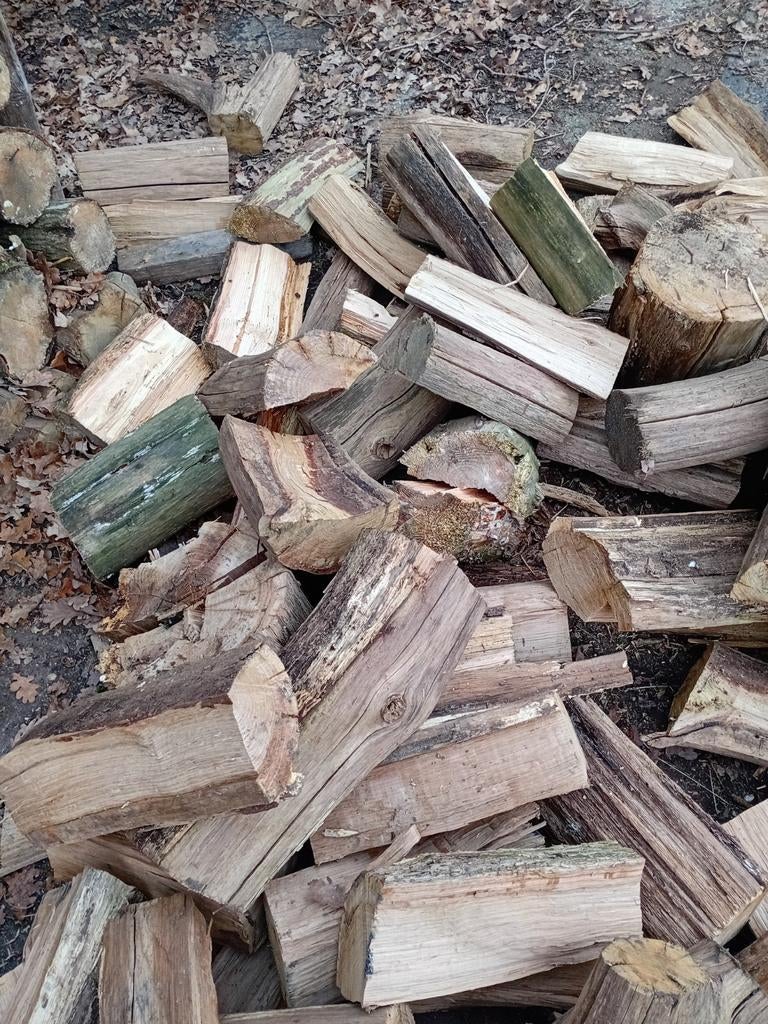 Openhaardhout te koop, Minder dan 3 m³, Ophalen of Verzenden, Overige houtsoorten, Blokken