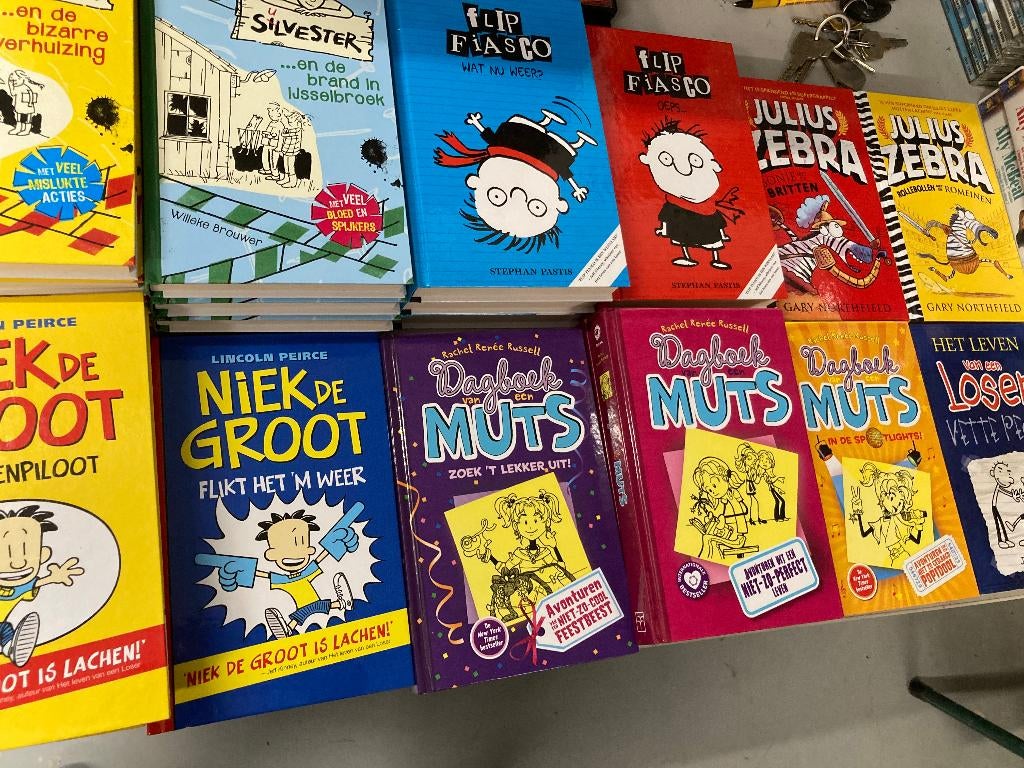 Silvester Flip Fiasco Dagboek van een muts Niek de Groot ea, Ophalen of Verzenden, Zo goed als nieuw, Fictie algemeen