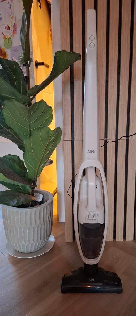AEG 2 in 1 Steelstofzuiger incl kruimelzuiger, Witgoed en Apparatuur, Ophalen of Verzenden, Gebruikt