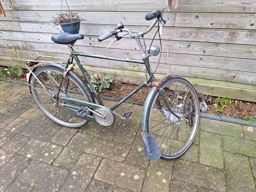 Te koop Gazelle cheetah, 59 cm of meer, Ophalen of Verzenden