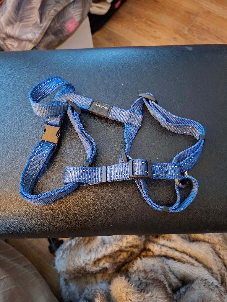 Hondentuig, H tuig, kleur blauw, Dieren en Toebehoren, Ophalen of Verzenden, Zo goed als nieuw, Hondenriem-accessoire