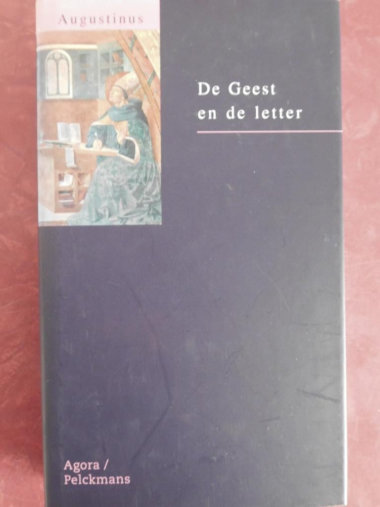 Augustinus De Geest en de letter, Ophalen of Verzenden, Zo goed als nieuw