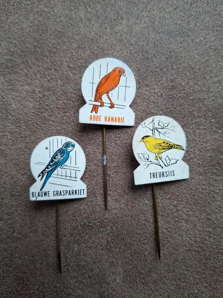 Vogel speldjes,
Rode kanarie
-Treursijs
-Blauwe grasparkiet, Ophalen of Verzenden, Gebruikt