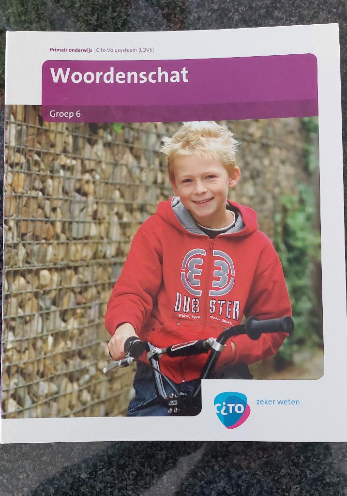 Cito Toets mappen (LOVS) Woordenschat Groep 6, Boeken, Verzenden, Diverse auteurs, Zo goed als nieuw, Nederlands