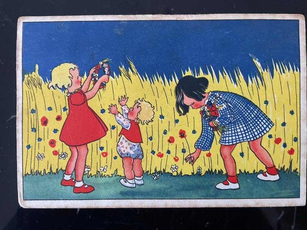 HENNY BOX? - bloemen plukken, Ophalen of Verzenden, Gelopen