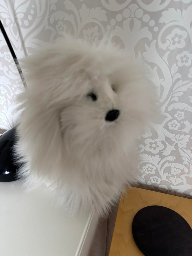 Fluffy hond van anna clyb, Ophalen of Verzenden, Hond