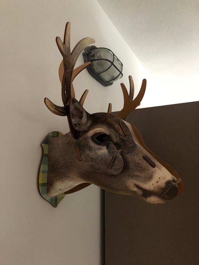 3D Hertenkop - Leuke Eyecatcher voor Kinderkamer!, Ophalen of Verzenden, Zo goed als nieuw