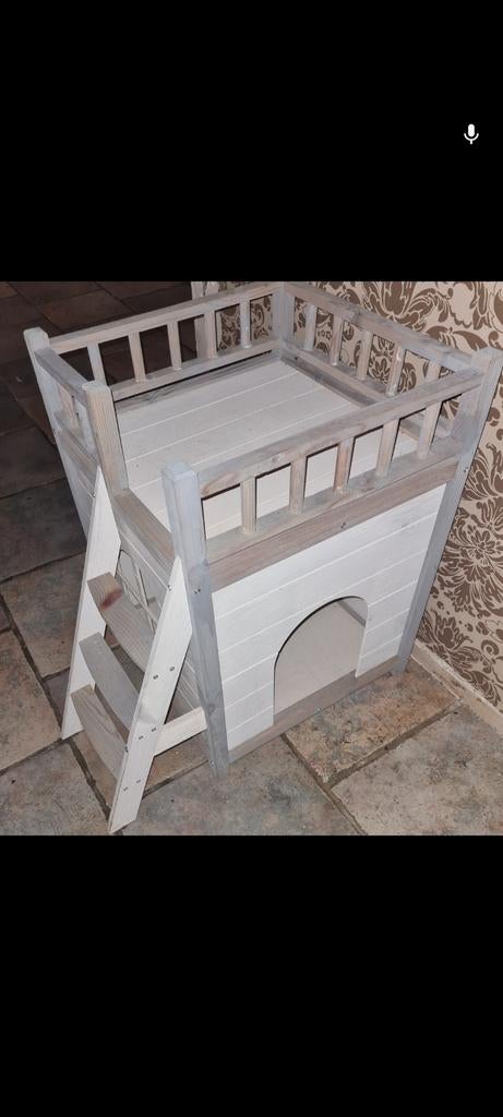 Katten huis, Ophalen of Verzenden, Overige typen