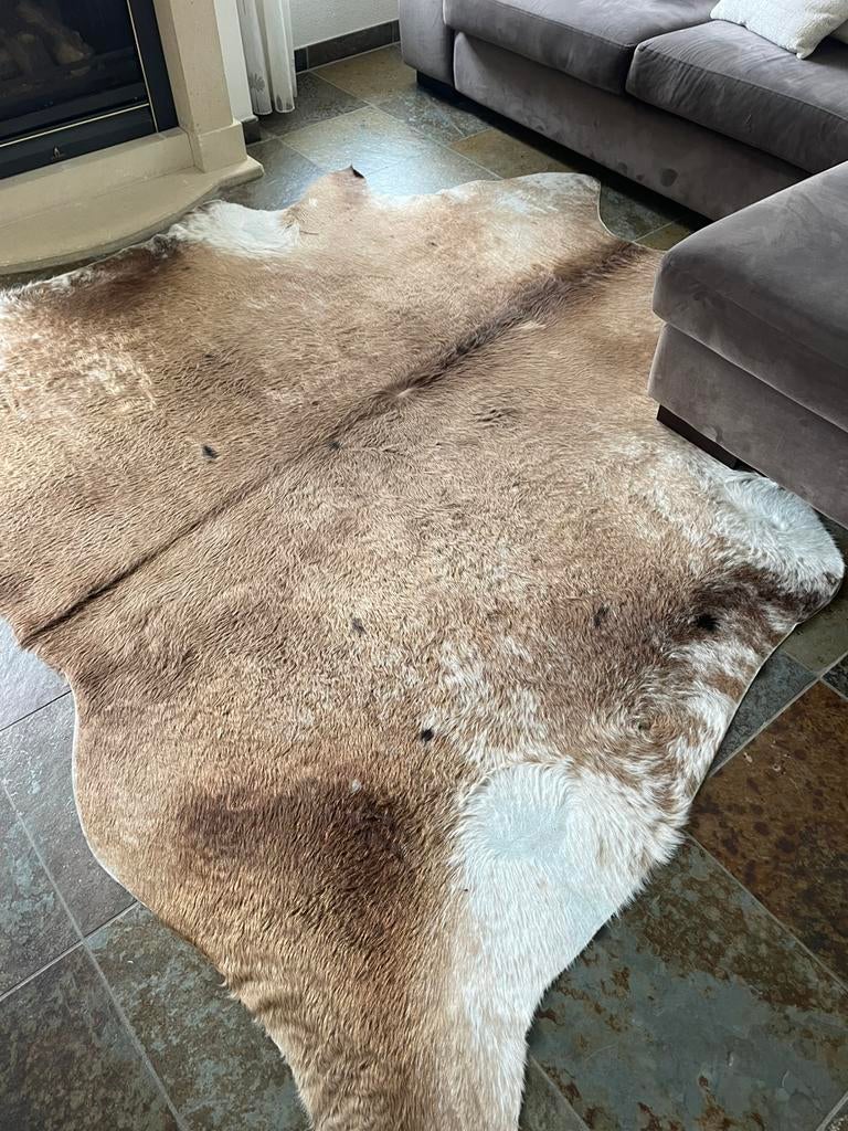 Koeien huid vloerkleed, Ophalen, Gebruikt, Koeien huid, Bruin