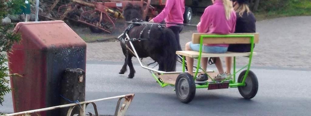 Tuig met sulky voor shetlander, Dieren en Toebehoren, Ophalen, Overige soorten