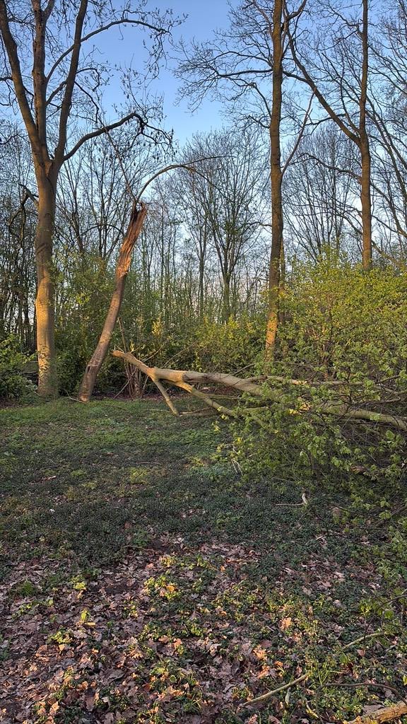 Gratis brandhout, Minder dan 3 m³, Ophalen