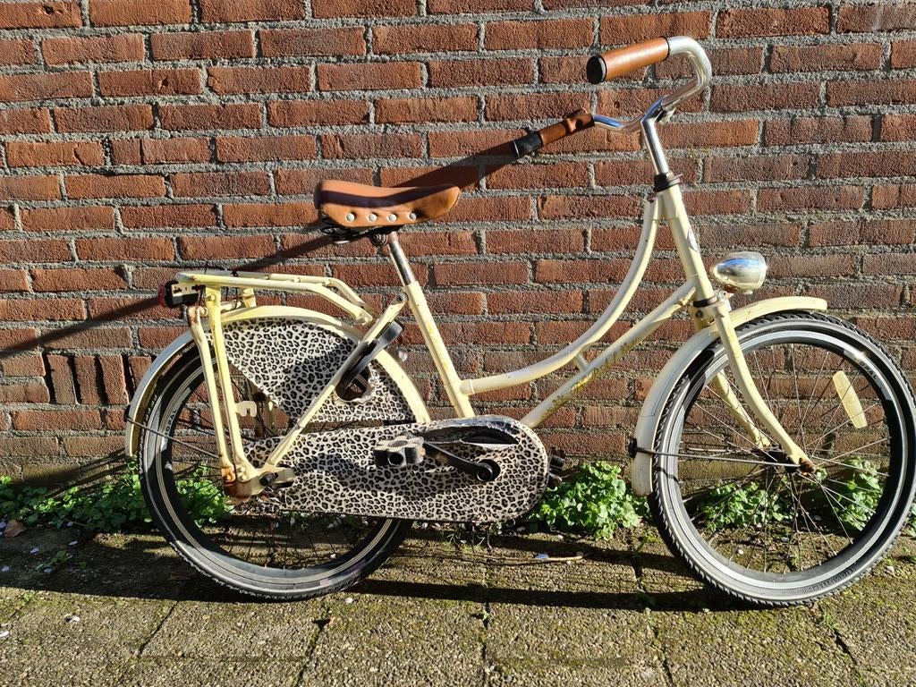 Leuke 22 inch meisjesfiets met luipaardprint, Ophalen, Gebruikt, 22 inch