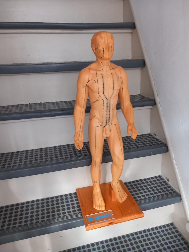 Acupunctuur pop, Ophalen of Verzenden