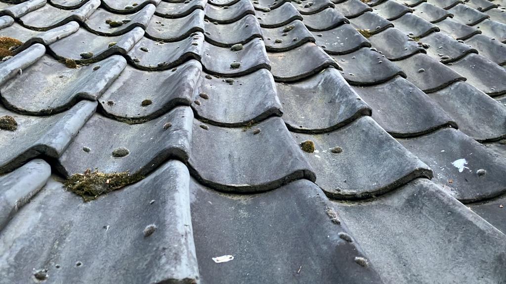 Te koop diverse dakpannen, Doe-het-zelf en Verbouw, Dakpannen en Dakbedekking, Steen of Klei, Ophalen of Verzenden, Zo goed als nieuw