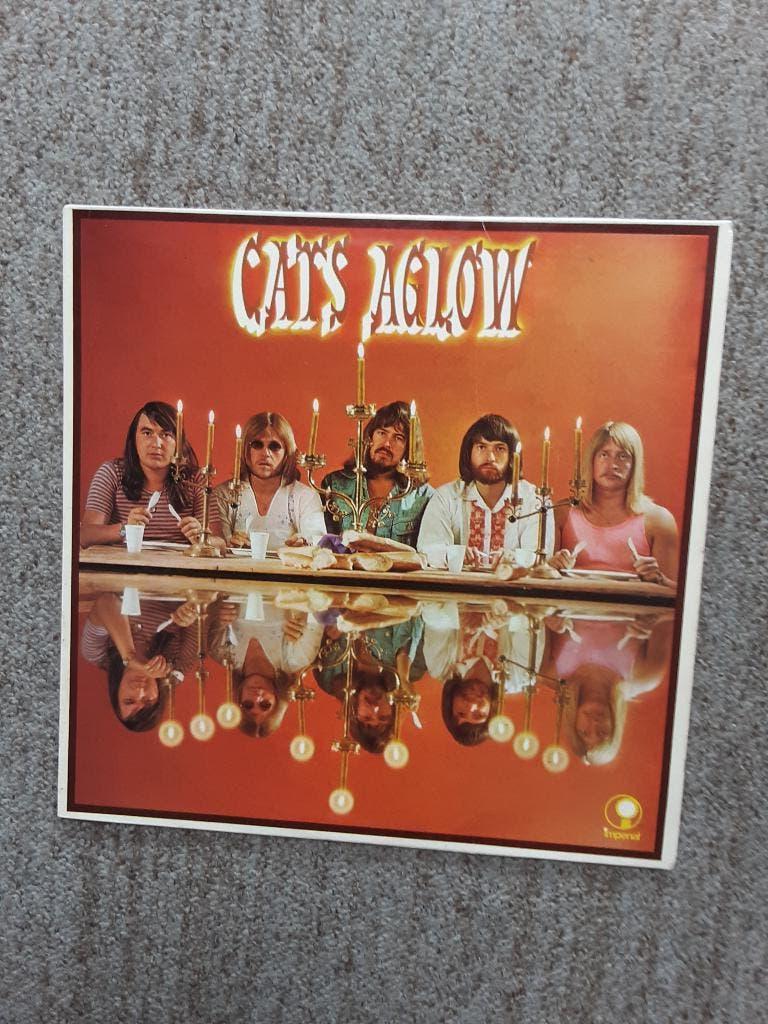 vinyl lp The Cats aglow, Ophalen of Verzenden, Gebruikt, 12 inch, Poprock