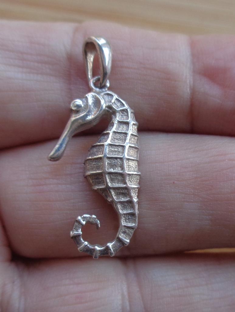 zilveren hanger zeepaardje [489], Verzenden, Zo goed als nieuw, Zilver, Zilver