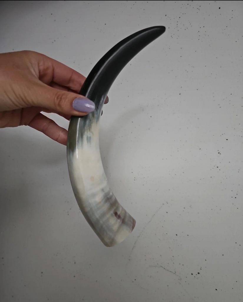 Hoorn, Ophalen of Verzenden