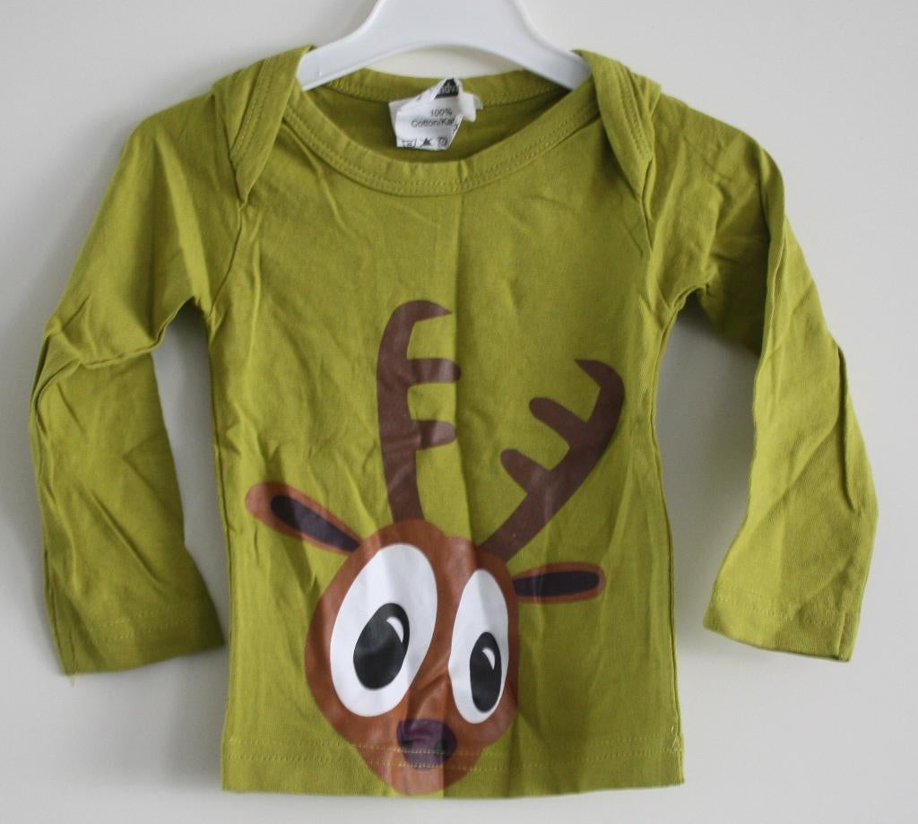 groen truitje met rendier  maat 62-68, Kinderen en Baby's, Babykleding | Maat 62, Gebruikt, Jongetje, Truitje of Vestje, Ophalen of Verzenden