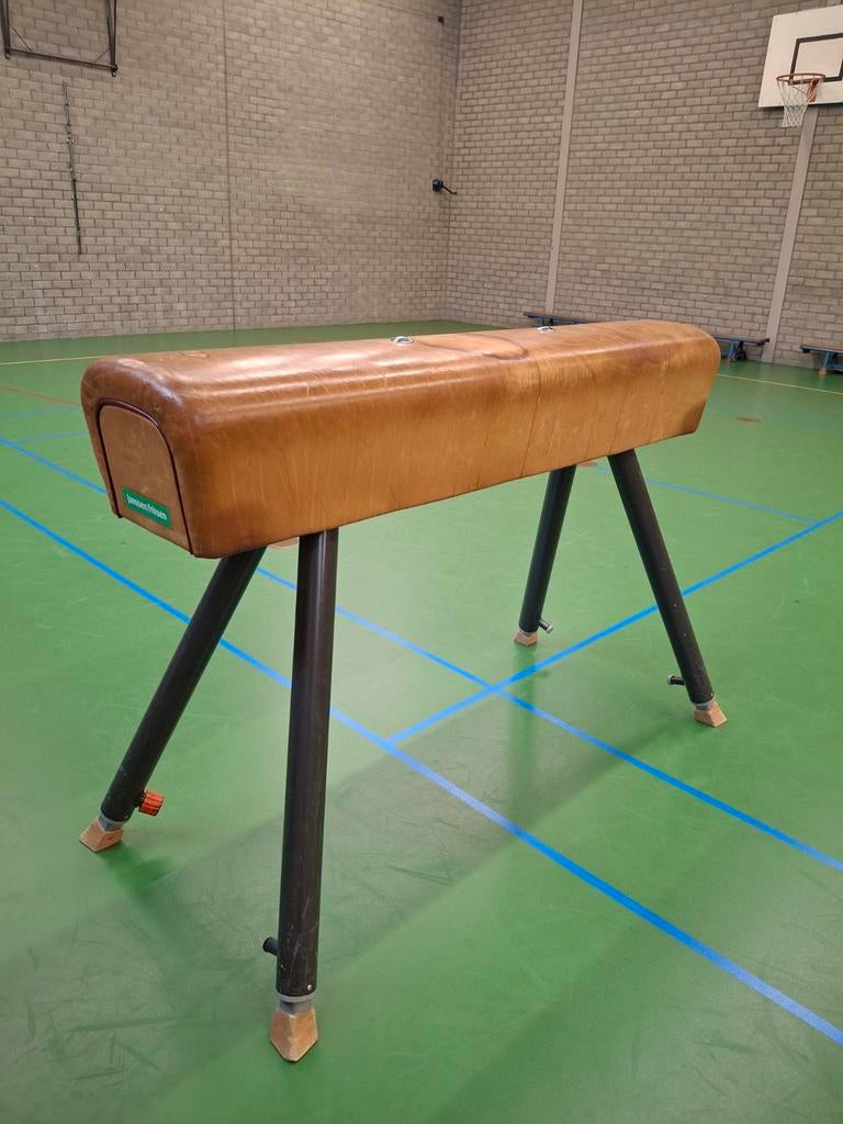 Vintage Turnpaard - Decoratief en Functioneel, Ophalen