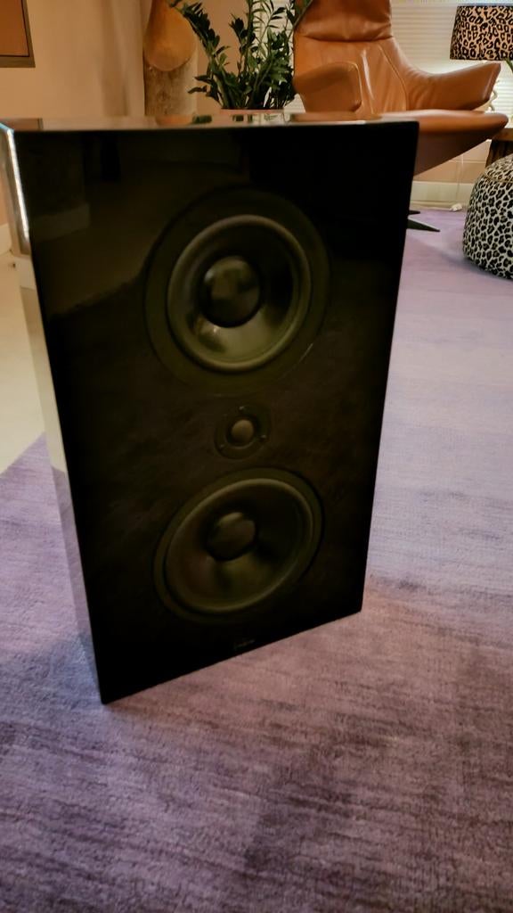 Lyngdorf FR-1 On-Wall Hifi Stereo Wand Luidsprekers, Overige merken, Ophalen of Verzenden, Zo goed als nieuw, 120 watt of meer