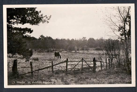 Leusden, ´t Weidje bij clubhuis Ingeborg. 1958., Ophalen of Verzenden, 1940 tot 1960, Gelopen, Utrecht