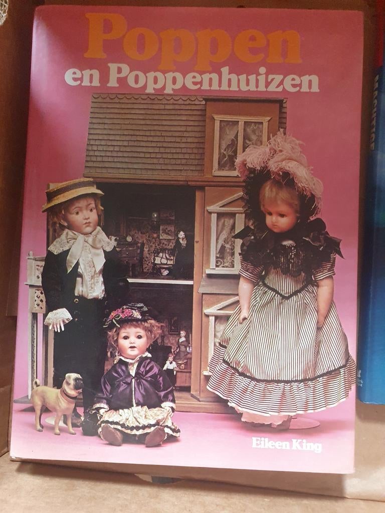 Te koop Poppen en poppenhuizen boek, Ophalen of Verzenden, Zo goed als nieuw, Poppenhuis