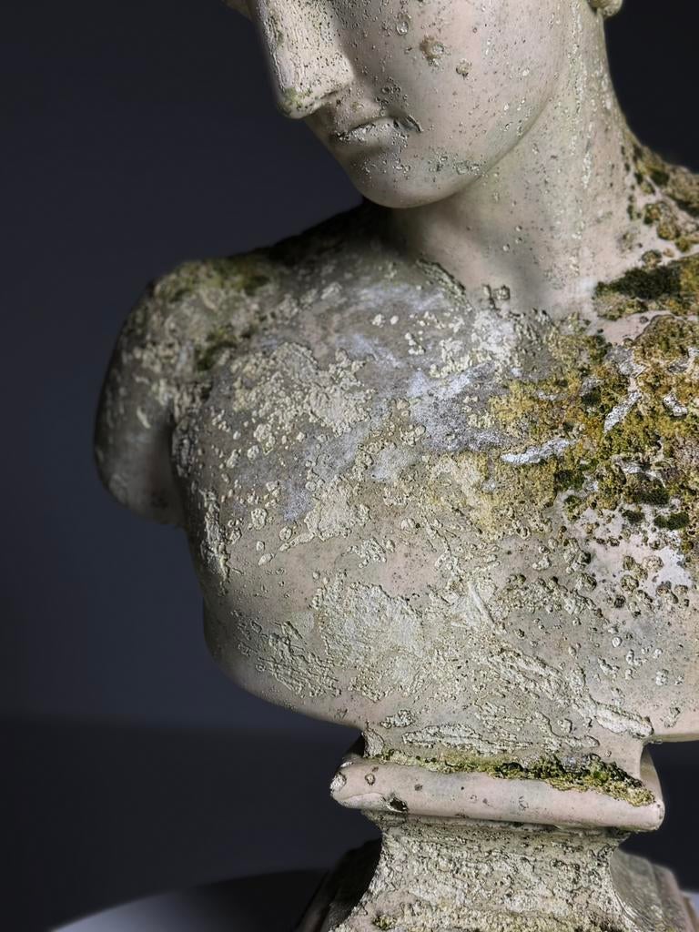 Borstbeeld Hermes gips klassiek, Ophalen, Zo goed als nieuw