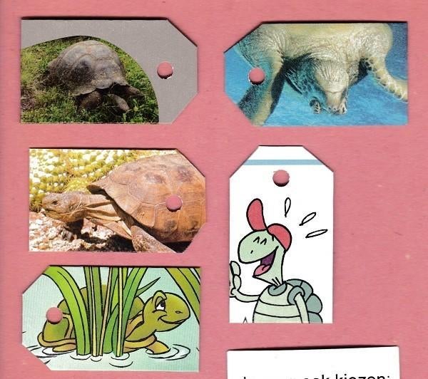 0147) schildpadden labeltjes, Ophalen of Verzenden, Zo goed als nieuw, Overige typen