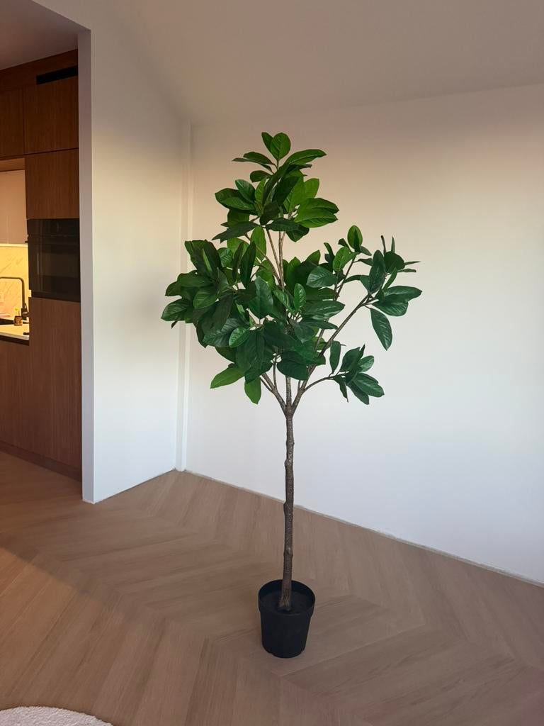 Ikea Fejka Magnolia topstaat, Huis en Inrichting, Woonaccessoires | Kunstplanten en Kunstbloemen, Ophalen, Groen, Kunstplant, Zo goed als nieuw