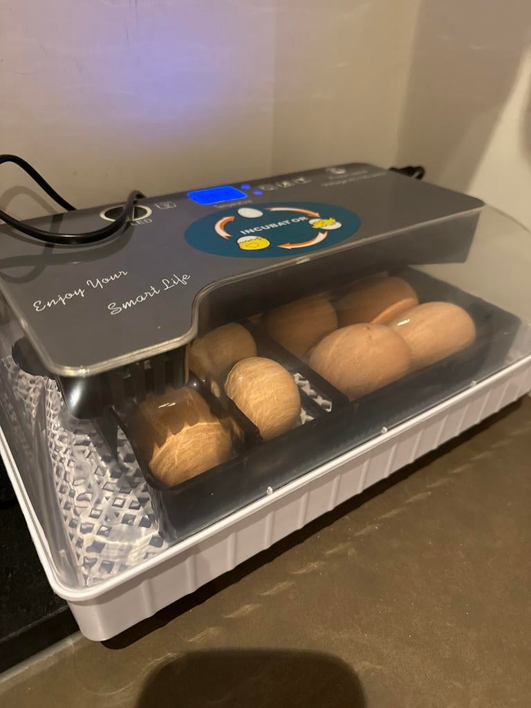 Broedmachine te huur – ideaal voor kuikens, eenden of kwarte, Dieren en Toebehoren, Ophalen of Verzenden, Zo goed als nieuw, Broedmachine