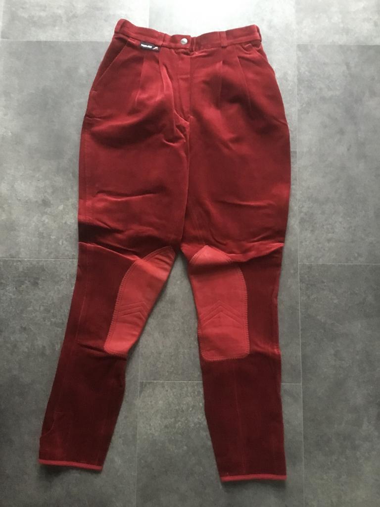 Tk zgan paardrijbroek eurostar, mt 42., Dieren en Toebehoren, Paardrijkleding, Ophalen, Zo goed als nieuw, Dames, Recreatie