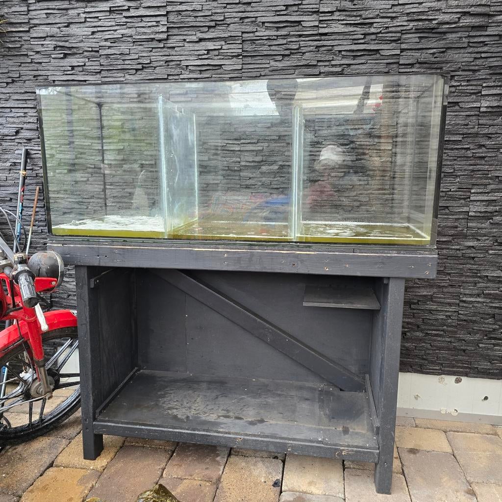 Kweek aquarium., Vis