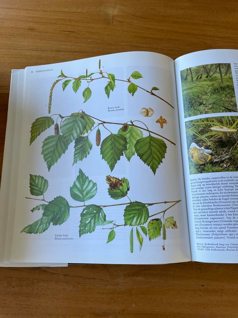 Flora Nederlandse Oecologische - Weeda, Boeken, Natuur, Ophalen of Verzenden, Gelezen, Bloemen, Planten en Bomen