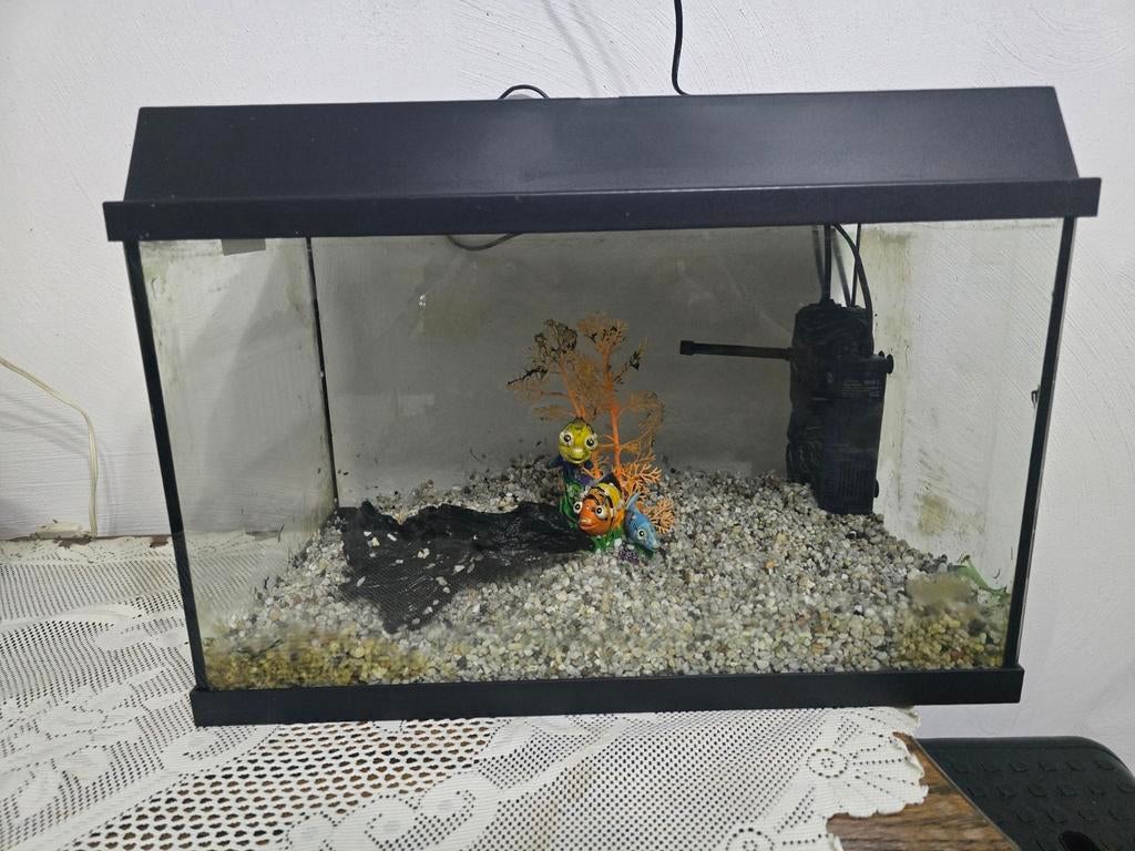 Aquarium met toebehoren inhoud 45 liter, Ophalen, Zo goed als nieuw, Gevuld zoetwateraquarium