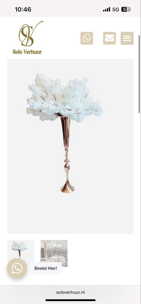 Bloemenvaas / Centerpiece te huur, Ophalen, Zo goed als nieuw