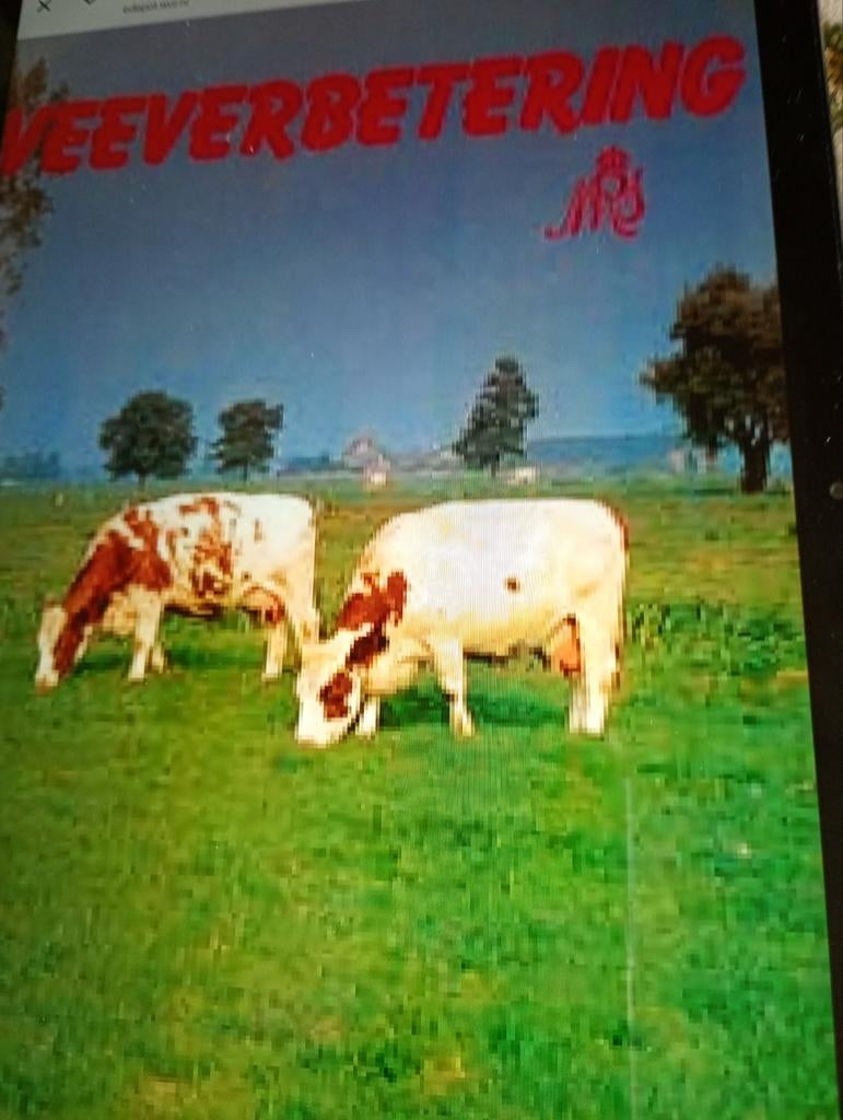 Gevraagd gevraagd keurstamboekers & veeverbetering, Ophalen of Verzenden