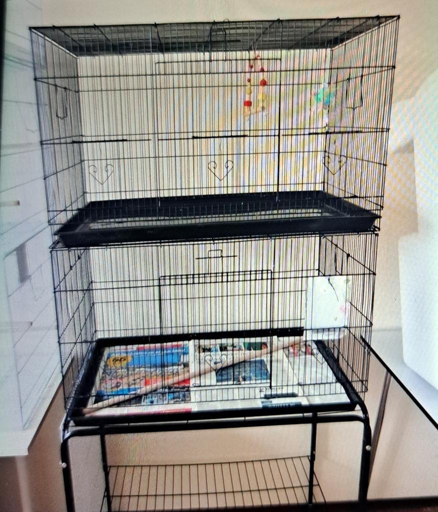 Vogelkooi /kweekkooi/ziekenkooi, Ophalen, Zo goed als nieuw, Kooi-accessoires